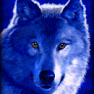 Meet your Posher, Llanero